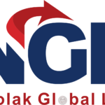 Natolak Global Link Logo